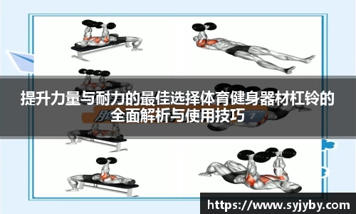 提升力量与耐力的最佳选择体育健身器材杠铃的全面解析与使用技巧